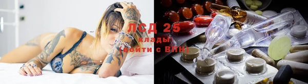 прущая мука Вязьма